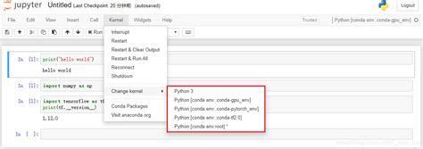 Jupyter Notebook切换conda虚拟环境jupyterhub Conda选项 Csdn博客