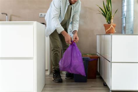 Bidoni Della Spazzatura Come Pulirli E Disinfettarli Nella Maniera