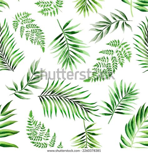 Yellow Tropical Leaves Leaf Over 208 752 Royalty Free Licensable Stock