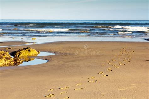 Empreintes De Pas Dans Le Sable Sur La Plage De Polzeath Photo Stock