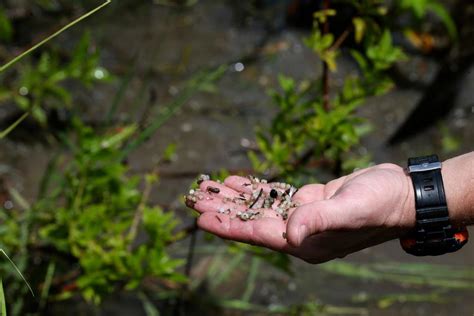 Formosa Plastics settles Lavaca Bay pollution case for $50 Million ...