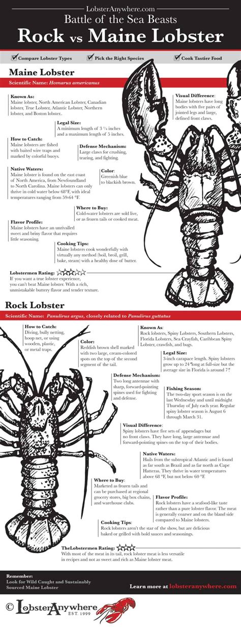 Rock (Spiny) vs Maine Lobster: What's The Difference?