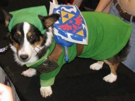 Another Awesome Gallery of Dog Cosplay