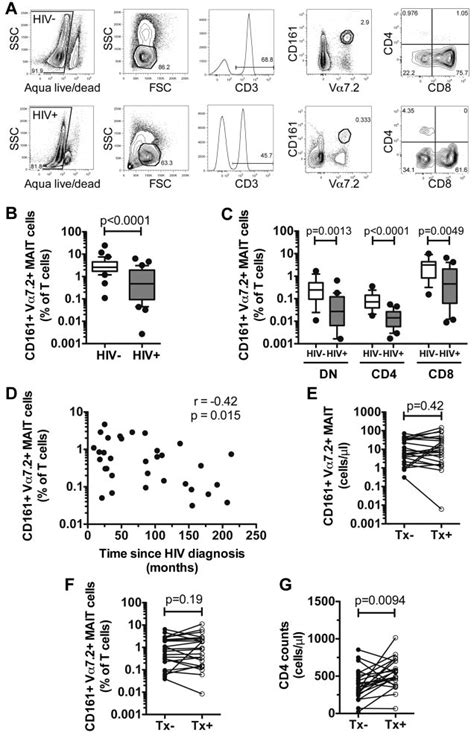 MAIT Cells Are Depleted In The Peripheral Blood Of Chronically