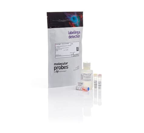 Qubit DsDNA BR Assay Kit Thermo Fisher Scientific