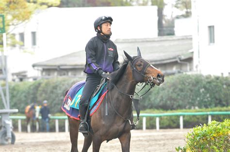 和田稔夫 Toshio Wada 🏇 週刊gallop･サンスポ･夕刊フジ On Twitter 注目2歳馬通信＠美浦 ガルサブランカ