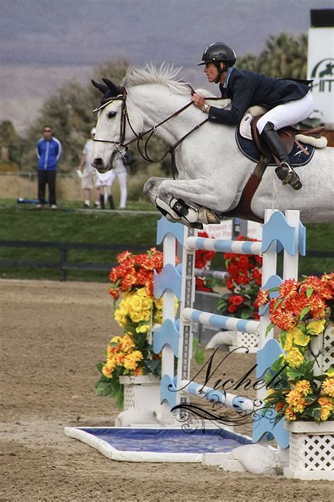 Show Jumping at HITS Thermal, California | Show horses, Show jumping ...