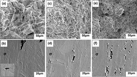 SEM Images Showing Top The Tensile Fracture Surface And Bottom The