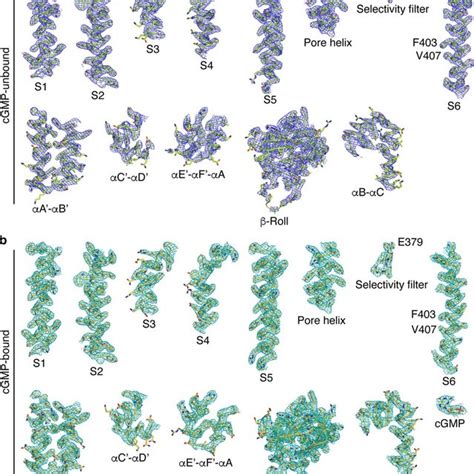 Cryo Em Density Maps And Atomic Models Of Selected Key Regions In