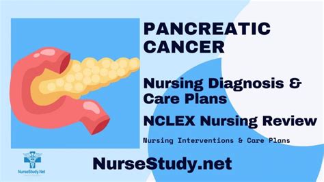 Pancreatic Cancer Nursing Diagnosis Care Plan NurseStudy Net