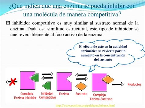 PPT INHIBICI ÓN IRREVERSIBLE PowerPoint Presentation free download