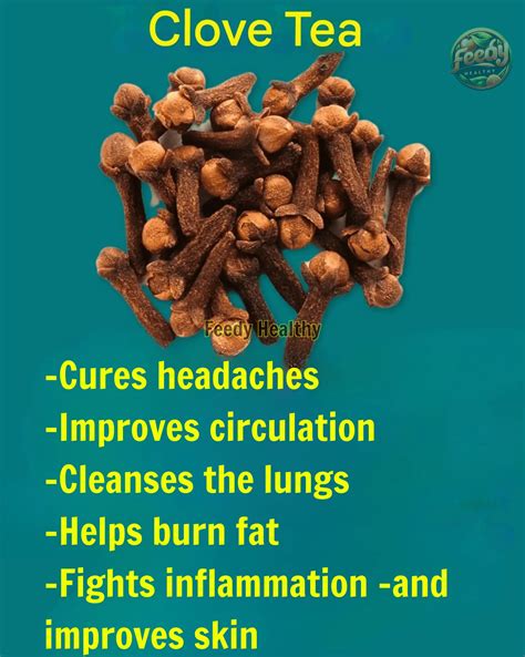 Pennyroyal Oregano: The Natural Remedy for Clearer Vision and Eye