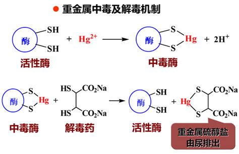 有机化学笔记含硫磷硅化合物1硫醇硫酚硫醚 知乎