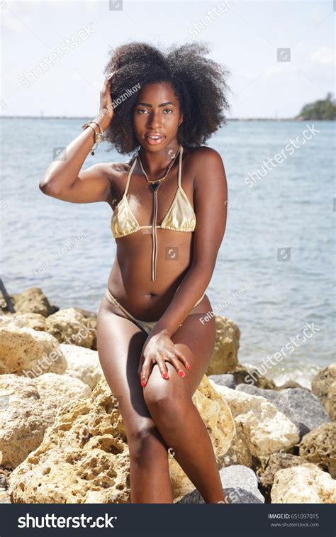 Bikini Model Posing On Rocks Stock Photo Shutterstock