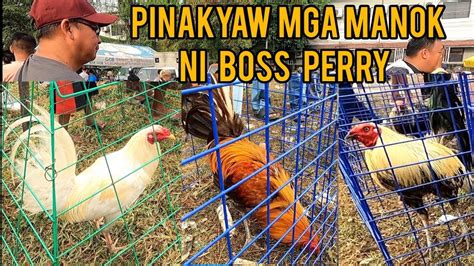 Bocaue Pet Market Manok Ni Boss Perry Pinakyaw Ng Big Time Buyer Youtube