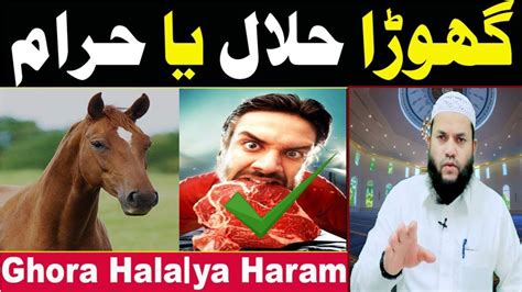 Ghora Halal Hai Ya Haram Ghoda Khana Halal Hai Ya Haram Sheikh