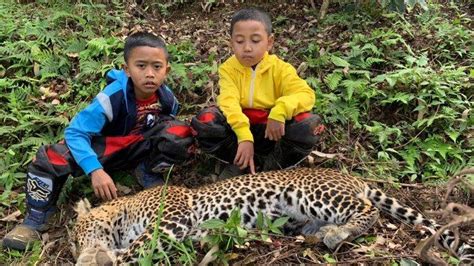 Geger Penemuan Bangkai Macan Tutul Di Pangalengan Bandung Warga Sempat