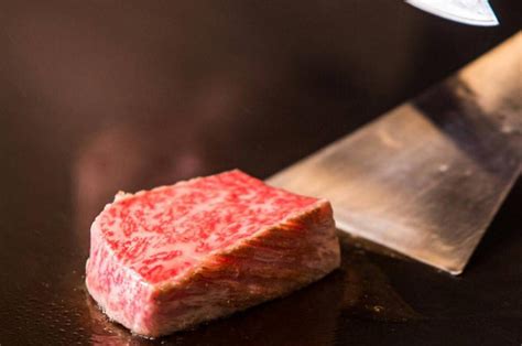 kobe beef  introduction    expensive beef   planet