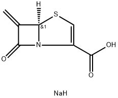 4 Thia 1 Azabicyclo 3 2 0 Hept 2 Ene 2 Carboxylic Acid 6 Methylene 7