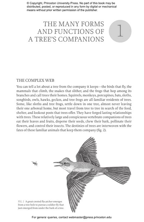 The Hidden Company That Trees Keep | Princeton University Press