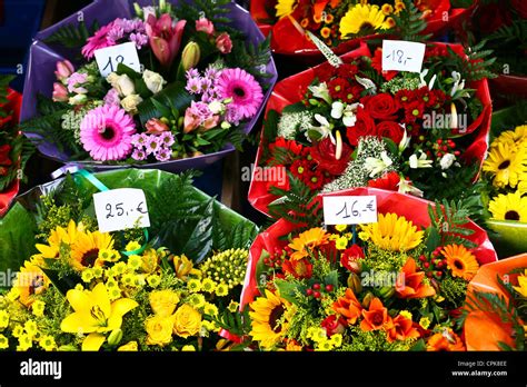 Scenes of Brussels downtown, flower shop Stock Photo - Alamy