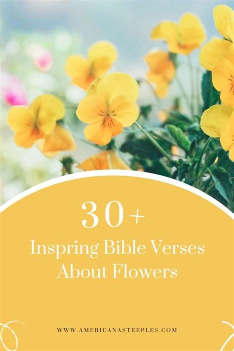 Glorious Bible Verses About Flowers Americana Steeples