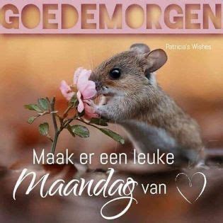 Pin Van Kristel Maximus Op Weekdagen Happy Maandag Goedemorgen