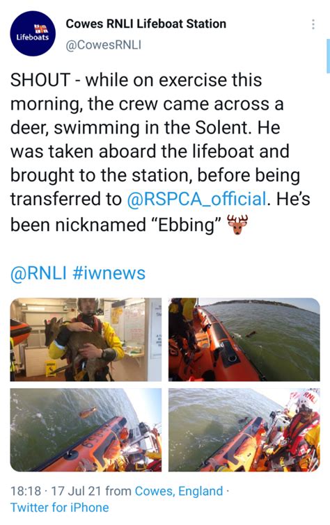 Art reflecting life! : r/valheim