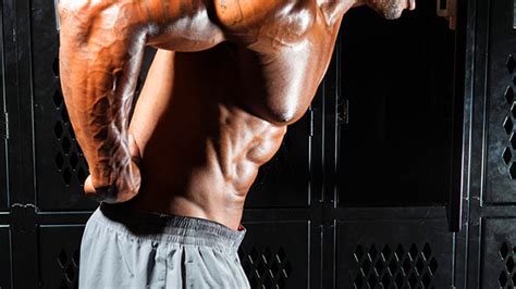 Lower Back Muscles Bodybuilding