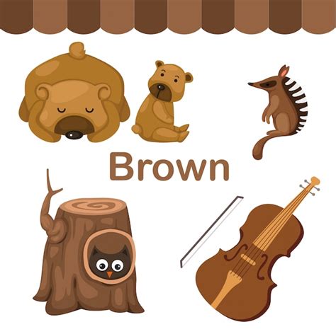 Learning colors. brown color. flashcard for kids. | Premium Vector