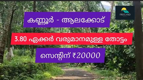 3 80 Acre Mixed Agri Farm With House For Sale Kannur Thaliparambu