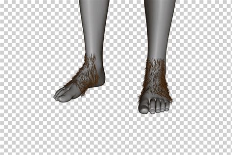 Полуботинка для голеностопного сустава, ноги хоббита, png | Klipartz