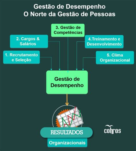 Como A Gest O De Desempenho Orienta As Pr Ticas De Gest O De Pessoas