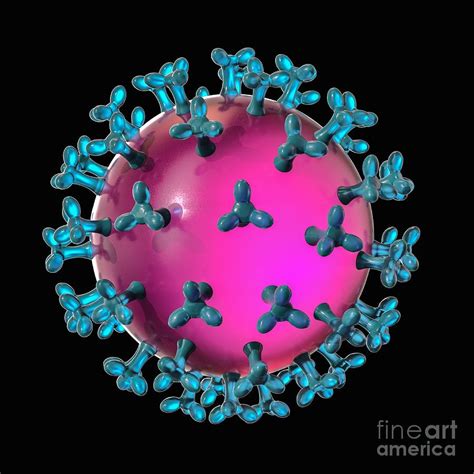 Coronavirus Capsid Photograph By Laguna Design Science Photo Library