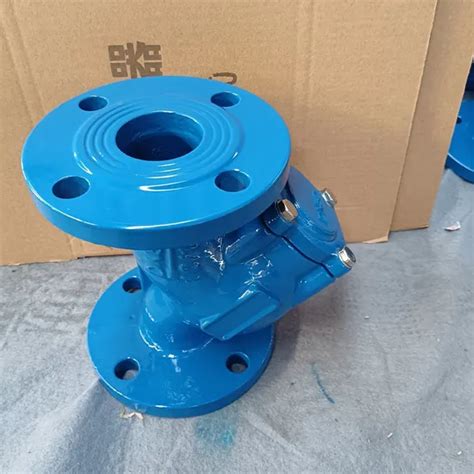 Din F Ductile Cast Iron Y Type Filter Valve Y Type Flange Water