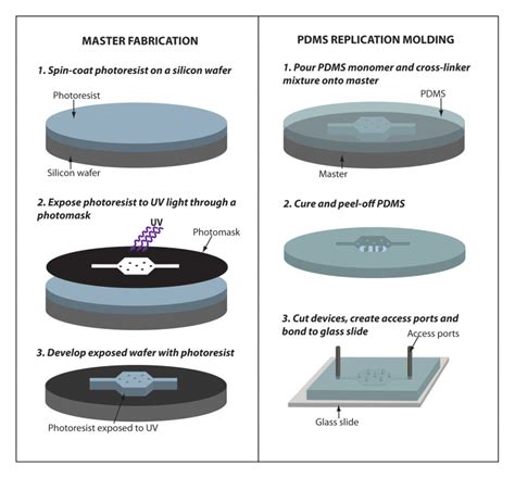 Figure 7 Fabrication Of Microfluidic Devices With Pdms Replica Molding