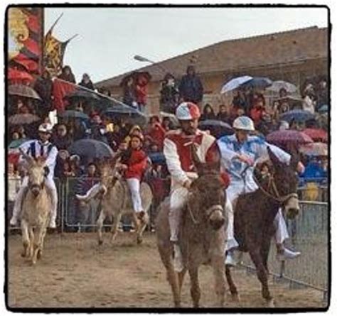 A Torrita Di Siena Si Avvicina Il Momento Del Palio Dei Somari Siena News