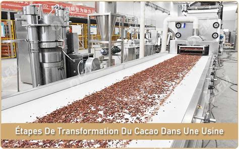 Étapes De Transformation Du Cacao Dans Une Usine