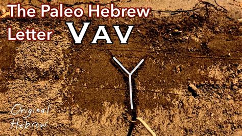 6 Vav Paleo Hebrew Alphabet The Name Yhvh Israel In The