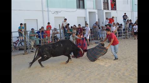 SARILHOS PEQUENOS MOITA 2015 YouTube