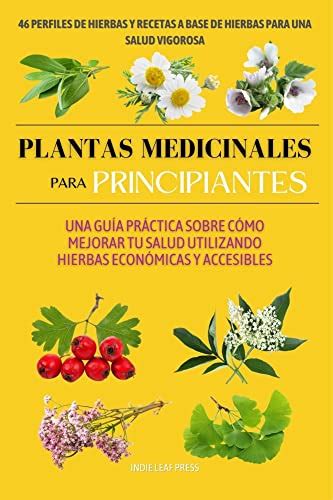 Plantas Medicinales Para Principiantes Una Guía Práctica Sobre Cómo