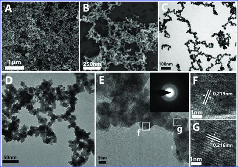 A Sem B High Magnification Sem C D Tem And Eg Hrtem Images