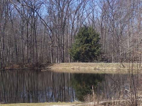 Oak Openings Preserve Toledo 2020 What To Know Before You Go With