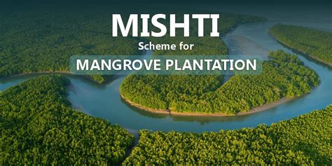 Mishti Scheme For Mangrove Plantations