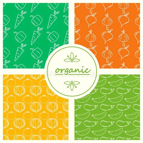 Seamless Patterns With Vegetables Stock Vector Illustration Of Eating