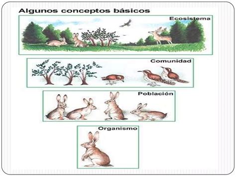 Los Ecosistemas Eduardo Gómez Ppt