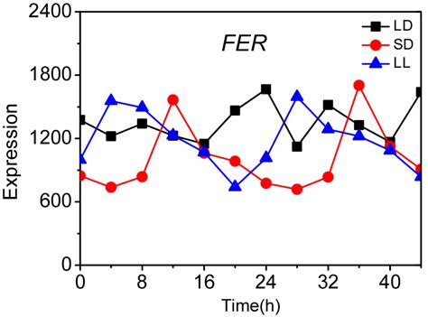 Receptor Kinase Feronia Regulates Flowering Time In Arabidopsis