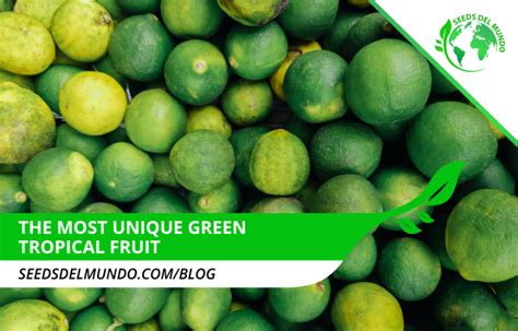 The Most Unique Green Tropical Fruit Seeds Del Mundo