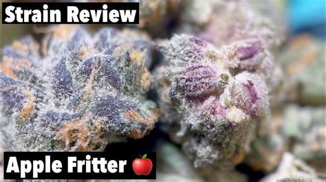 Apple Fritter WEED STRAIN REVIEW YouTube