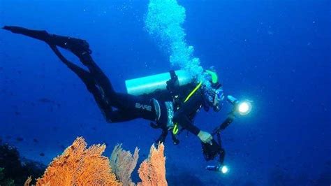 Sabang Gelar Festival Diving - Serambinews.com